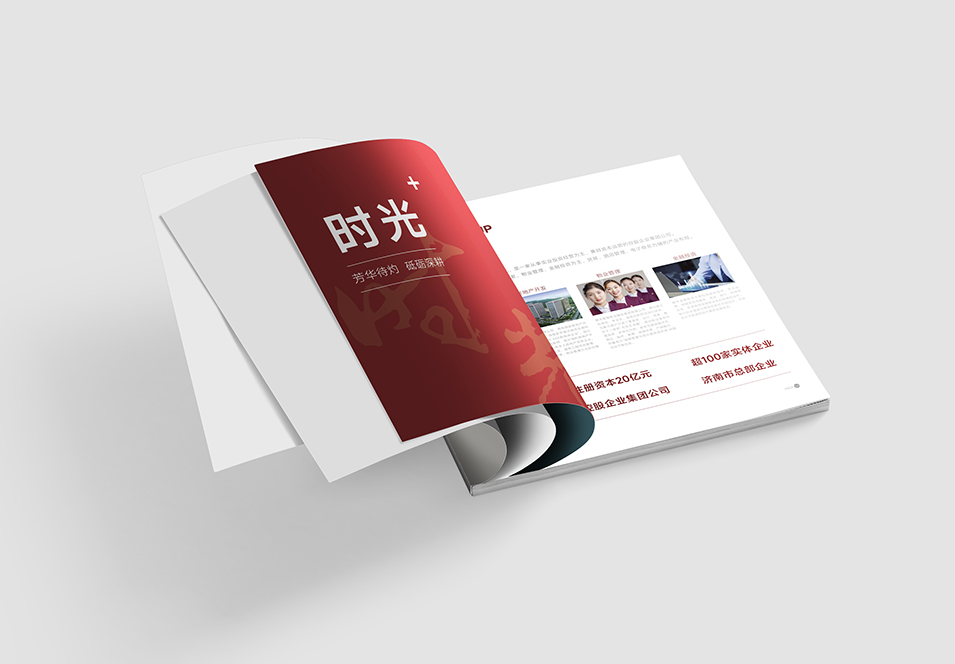 銀豐生物集團(tuán)企業(yè)畫(huà)冊(cè)設(shè)計(jì)