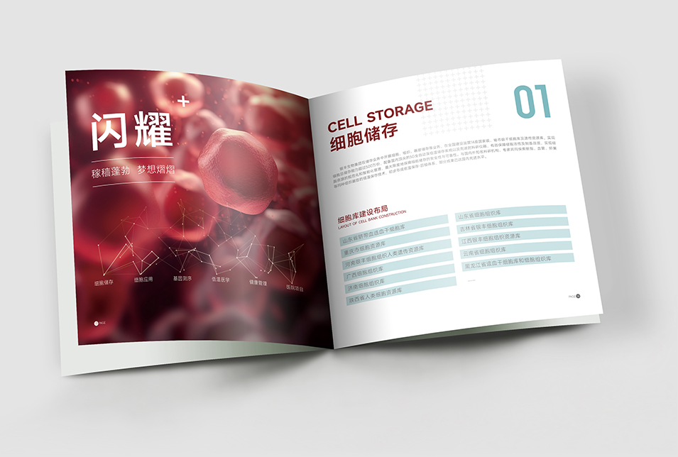 銀豐生物集團(tuán)企業(yè)畫(huà)冊(cè)設(shè)計(jì)