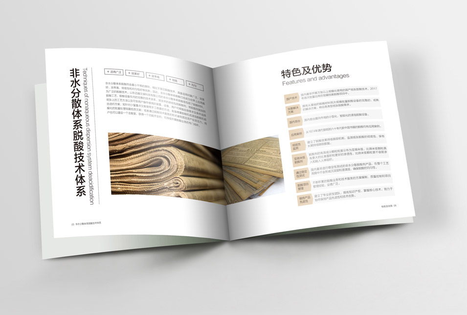 邁越文保宣傳畫冊設(shè)計