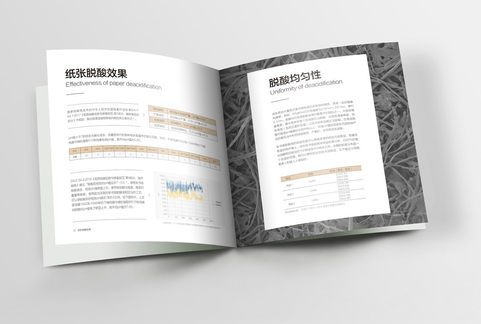 邁越文保宣傳畫冊設(shè)計
