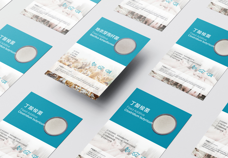 農(nóng)業(yè)畜牧業(yè)畫冊(cè)設(shè)計(jì)、封套單頁(yè)設(shè)計(jì)