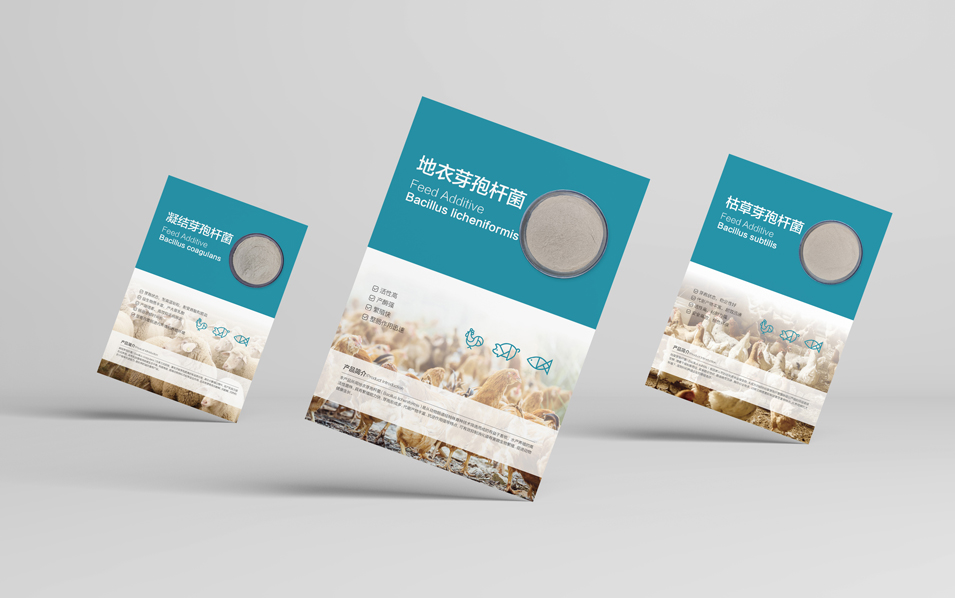 農(nóng)業(yè)畜牧業(yè)畫冊(cè)設(shè)計(jì)、封套單頁(yè)設(shè)計(jì)